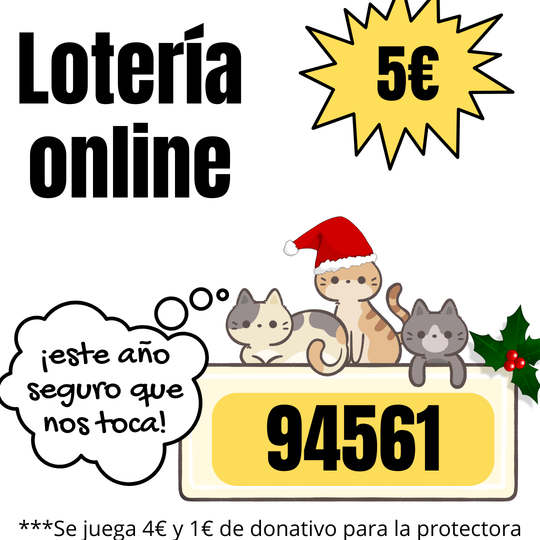 Cartel del número de la lotería de navidad 2025, con el número 94561